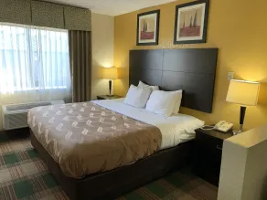 Quality Inn Montgomery South - Værelse