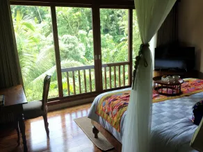 Natya Resort Ubud - View from room