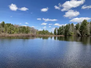 Musky Joes Twin Pines Resort - Vista do quarto