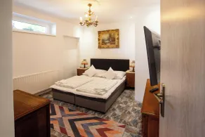 Apartman vintage A101 - Room