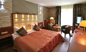 Domaine de la Forêt - Chambre