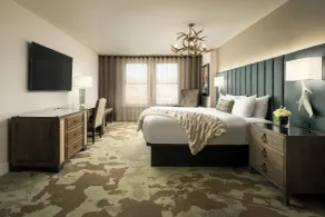 Grand Bohemian Lodge Asheville, Autograph Collection - Chambre