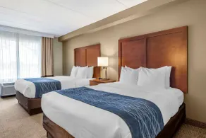 Comfort Inn & Suites Orlando North - Habitación