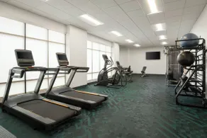 TownePlace Suites by Marriott Thatcher - Fitness facility