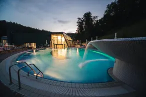 Depandance Vila Higiea - Terme Dobrna - Pool