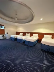Al Farabi Towers Hotel - Værelse
