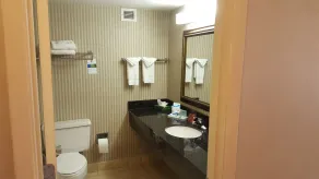Ramada Plaza by Wyndham Atlanta Airport - Salle de bain