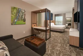 SpringHill Suites by Marriott Winter Park - Chambre