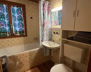 Familienfreundliche Wohnung mit Terrasse, Garten und Grill | Bergblick | Haustiere erlaubt - Badezimmer