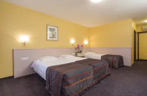 Hotel Leo Station et Annexes - Room