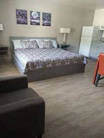 Budget Inn Durango - Chambre