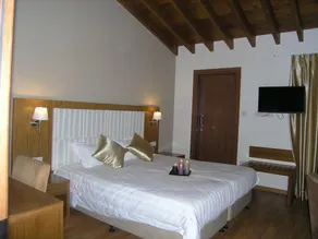 Livadia Hotel Kyperounta - Chambre