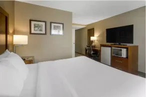 Comfort Inn & Suites Peachtree Corners - Norcross - Chambre