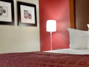 FairBridge Inn & Suites Fort Wayne - Chambre