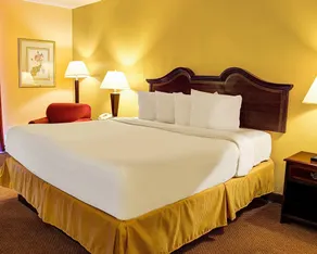 Quality Inn Richmond North - Chambre
