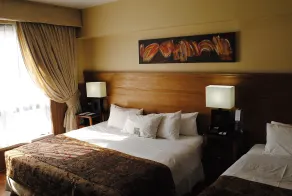 Hotel Panamericano - Room