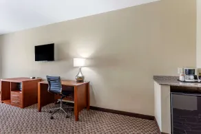 Comfort Inn & Suites Carbondale University Area - Chambre
