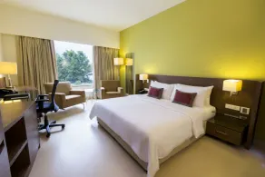 Radha Regent Electronic City - View from room