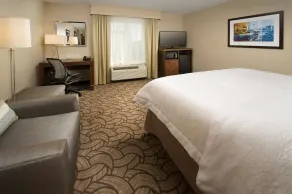 Hampton Inn & Suites San Antonio-Downtown/Market Square - Chambre