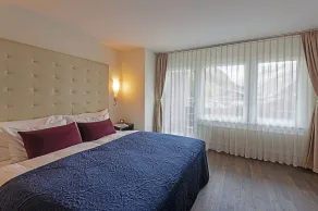 Mirabeau Alpine - Chambre