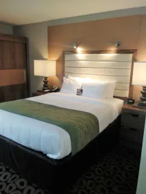 Comfort Inn Raleigh Midtown - Chambre