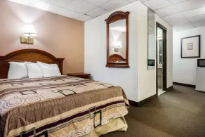 Quality Inn & Suites Binghamton Vestal - Chambre