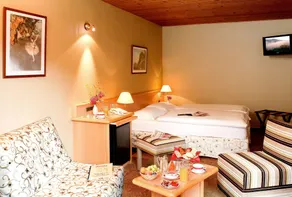 Hôtel Au Bois Le Sire Orbey - Chambre