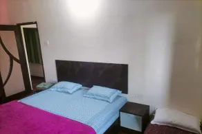 Springfield Family Apartment - Camera
