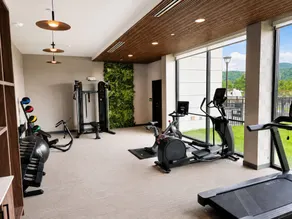 La Quinta Inn & Suites by Wyndham Roanoke Hollins/I-81 - Fitnessfaciliteter