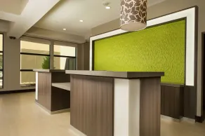 Hilton Garden Inn College Station - Réception