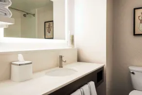 Hampton Inn Columbia-Downtown Historic District - Salle de bain