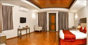 Vikram Vintage Inn - Room