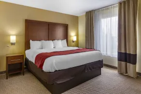 Comfort Inn Garner Clayton I-40 - Chambre