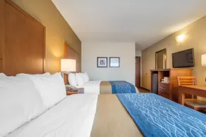 Comfort Inn - Chambre