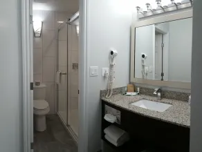 El Lobo Motel - Bathroom