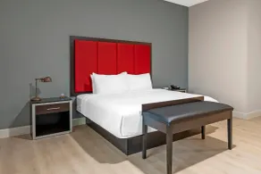 The J Hotel Dunedin Clearwater, an Ascend Collection Hotel - Chambre
