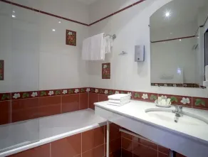 Logis Hôtel & Restaurant du Sauvage - Bagno