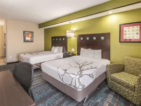 La Quinta by Wyndham Dallas Grand Prairie South - Chambre