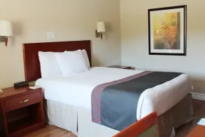 Days Inn by Wyndham Bridgewater Conference Center - Chambre