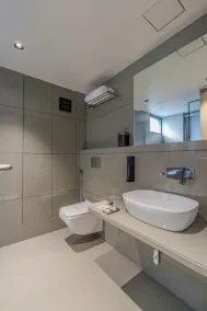 The Magnetica - Baño