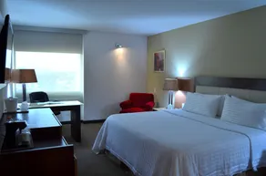 Holiday Inn Guadalajara Select by IHG - Chambre