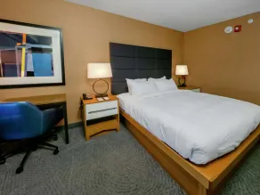 DoubleTree by Hilton Hotel Niagara Falls New York - Chambre