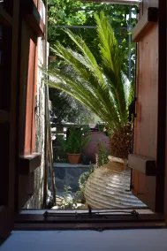 Lasa Heights Hotel - View from room