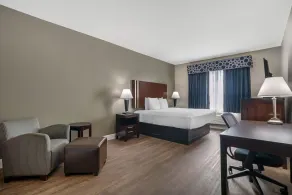 Best Western Abbeville Inn and Suites - Room
