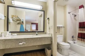 Red Roof Inn Conroe North - Willis - Badezimmer