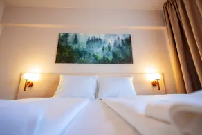 Bacolux Santis, Covasna - Room