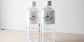 ANA Crowne Plaza Akita by IHG - Camera