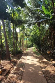Jungle Book Resort - Coin séjour