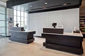 Hilton Garden Inn Lansing West - Réception