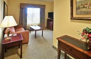 Holiday Inn Express & Suites Texarkana by IHG - Chambre